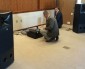 Picking the Right Demo Tracks